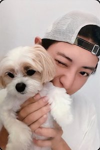 UPSIDE DOWN 泡泡摩奇 特典卡 