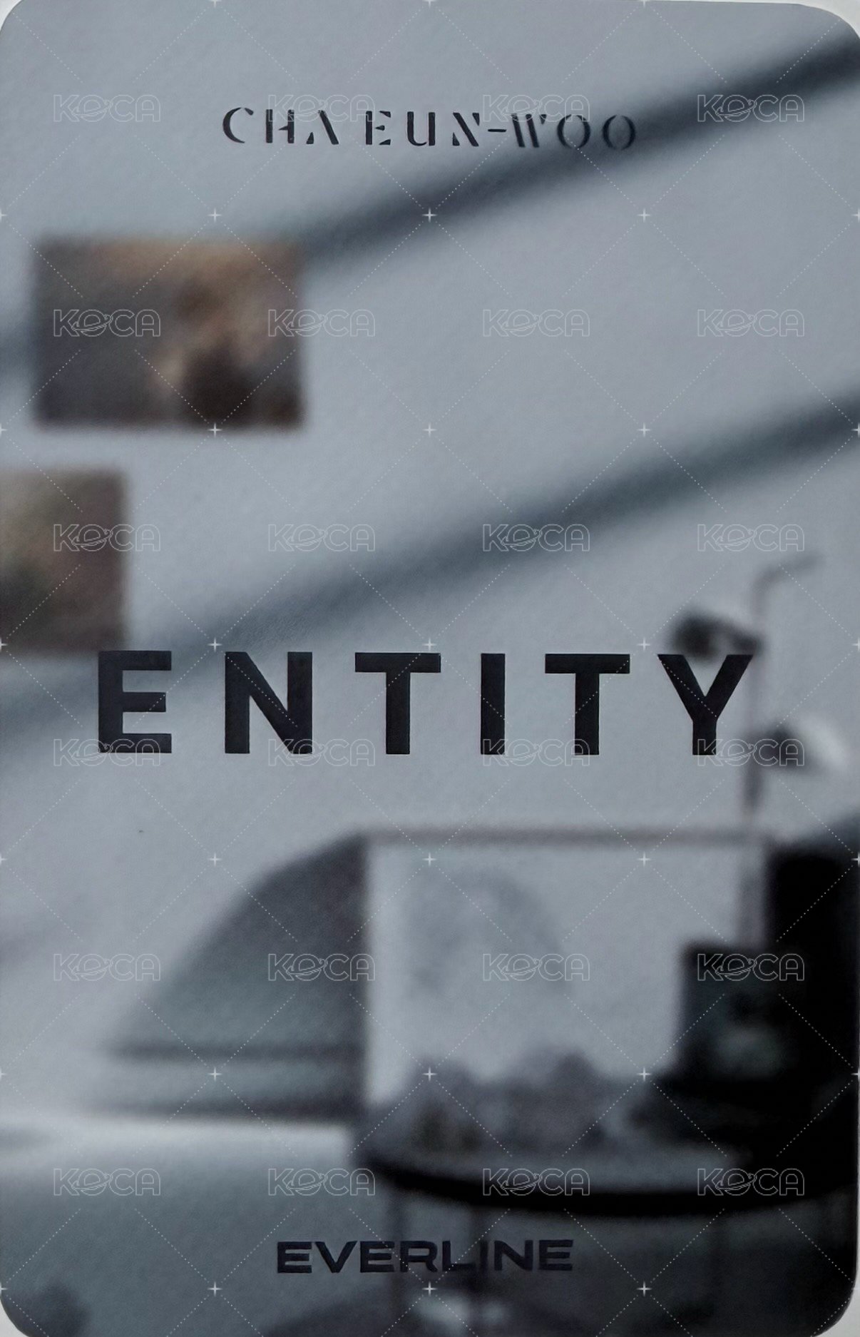 ENTITY el 特典卡  背面