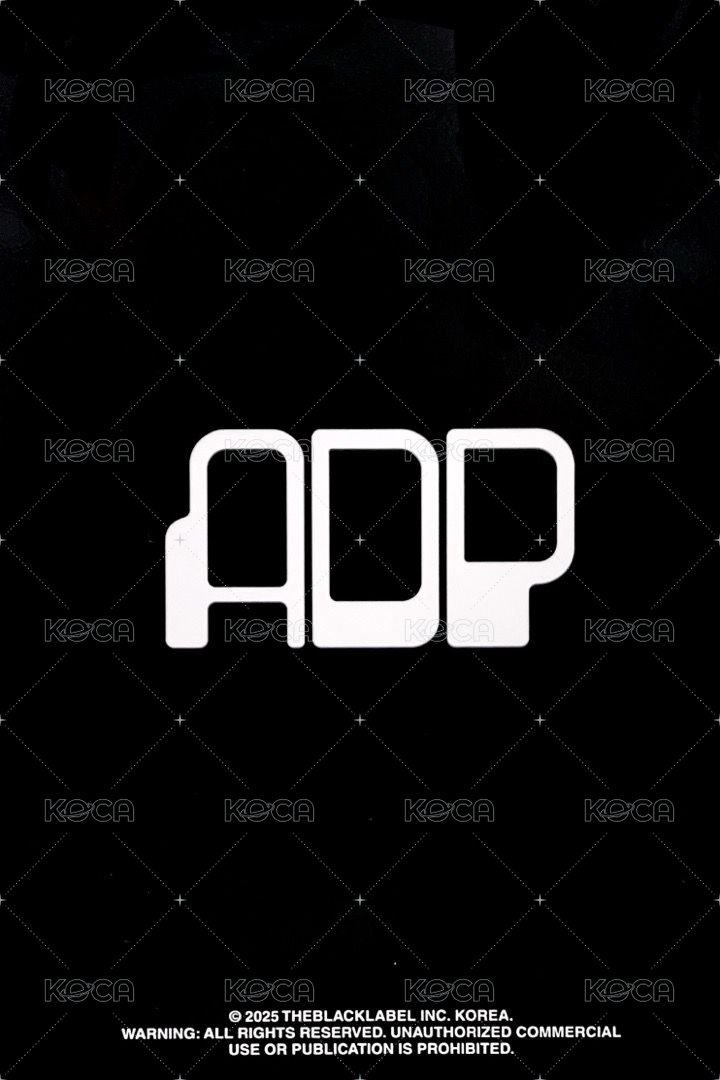 ADP HOODIE tbl 周邊卡 帽T卡 背面