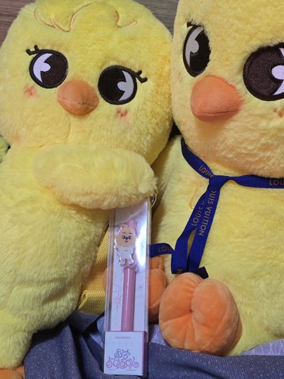 Stray kids 5th FM skzoo原子筆 旻城