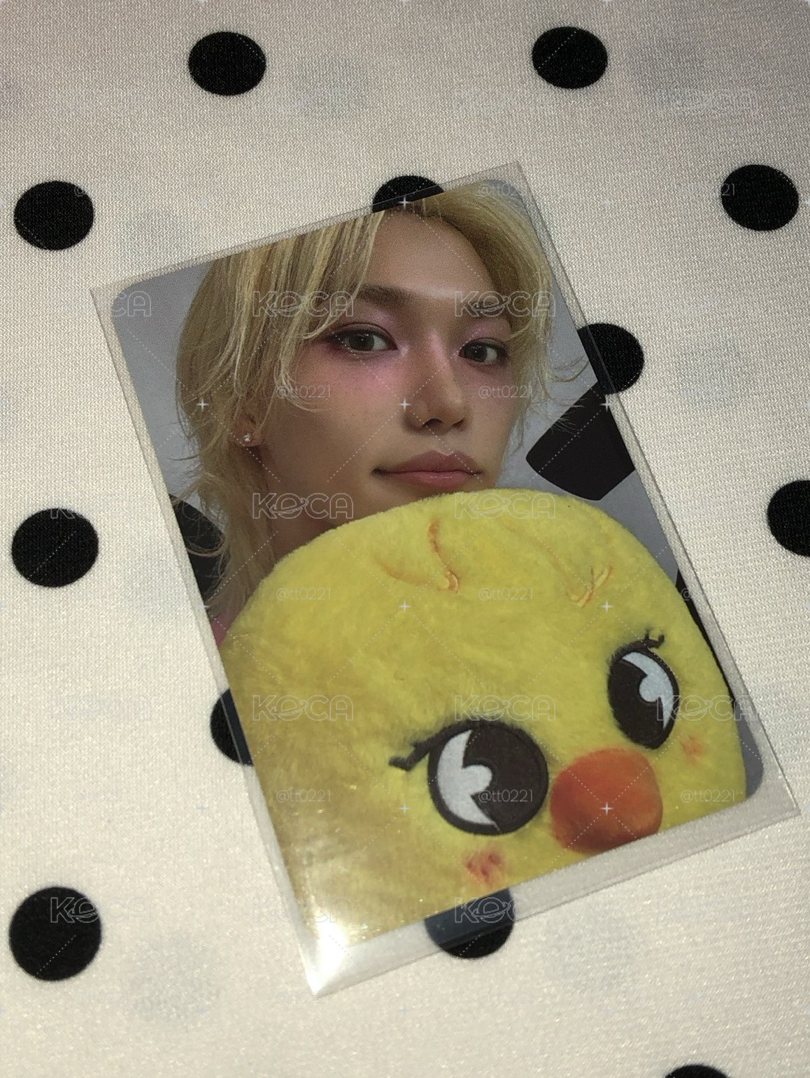 菲菲專區🐤