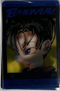 迷一 EXPLORER 變化卡 專輯卡 