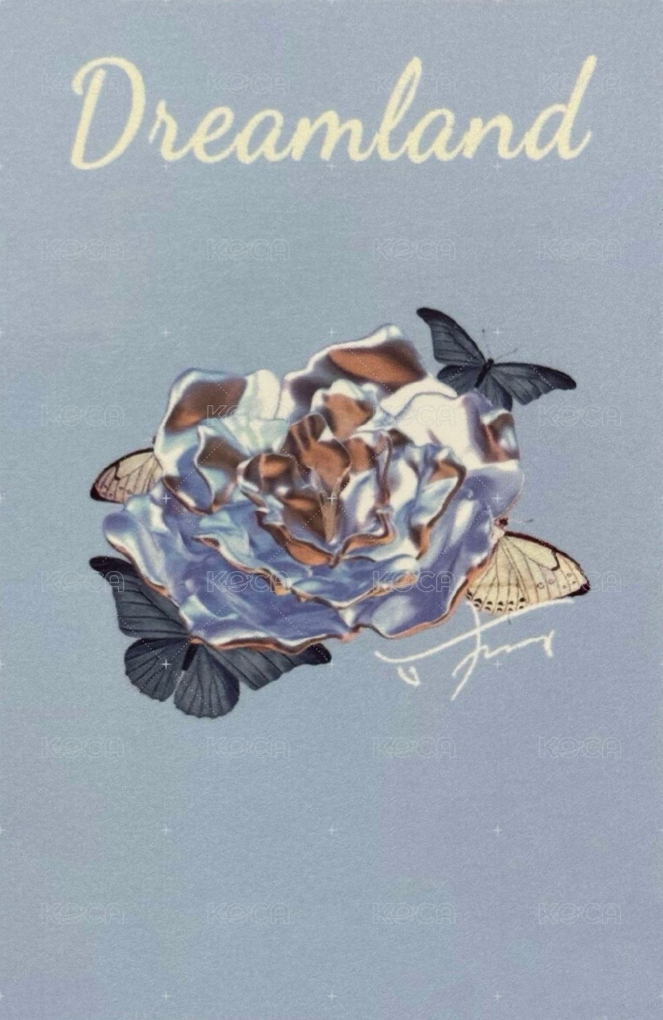 夢境 周邊卡 2夢境普卡 背面