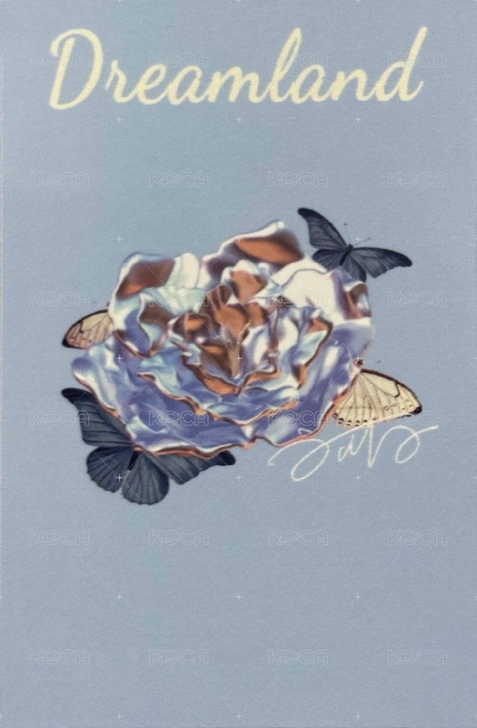 夢境 周邊卡 4夢境普卡 背面