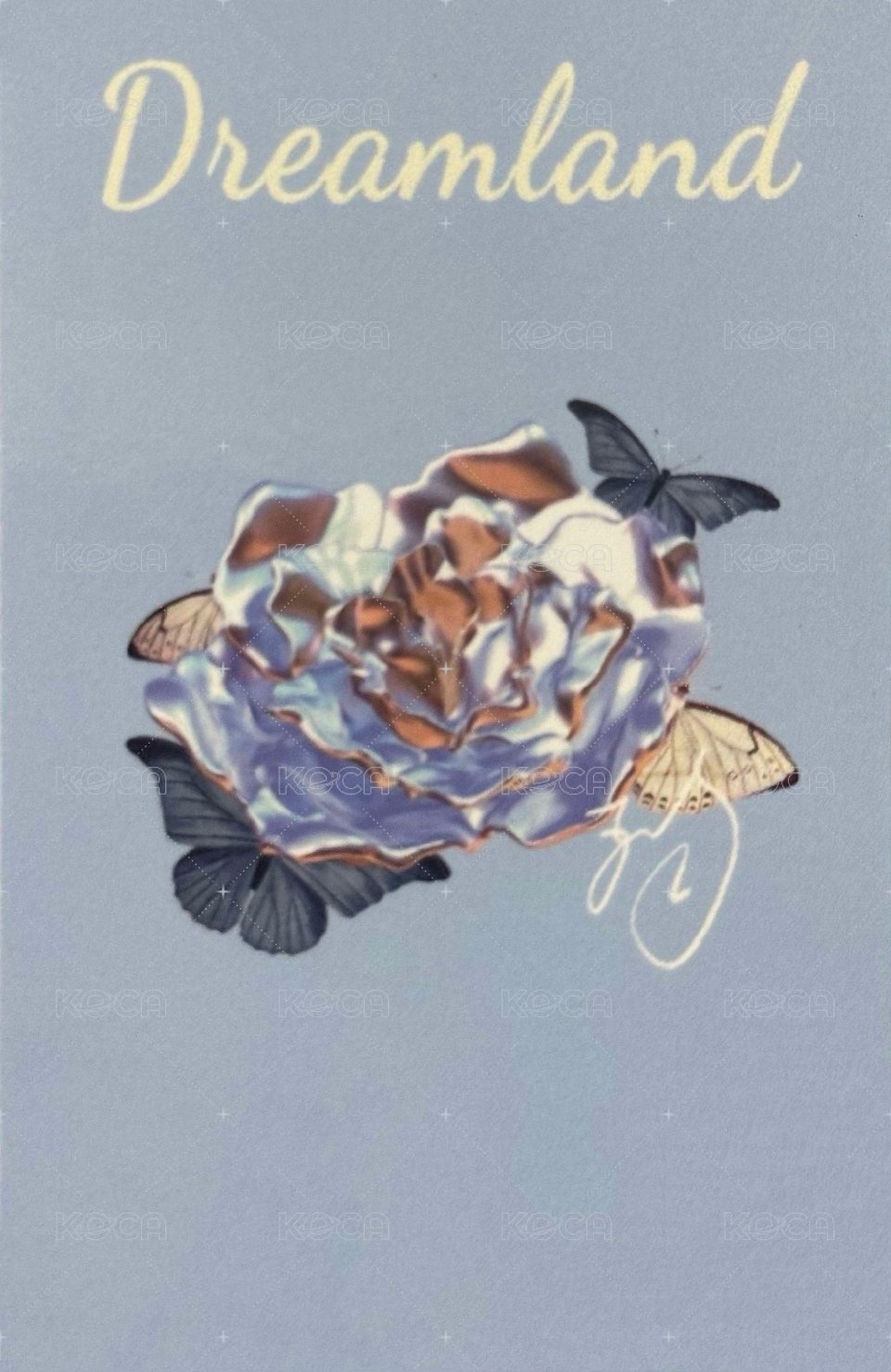 夢境 周邊卡 6夢境普卡 背面