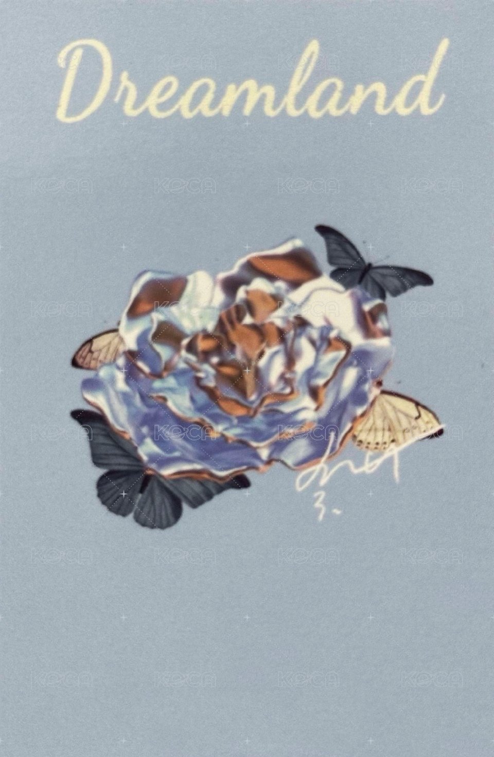 夢境 周邊卡 7夢境普卡 背面