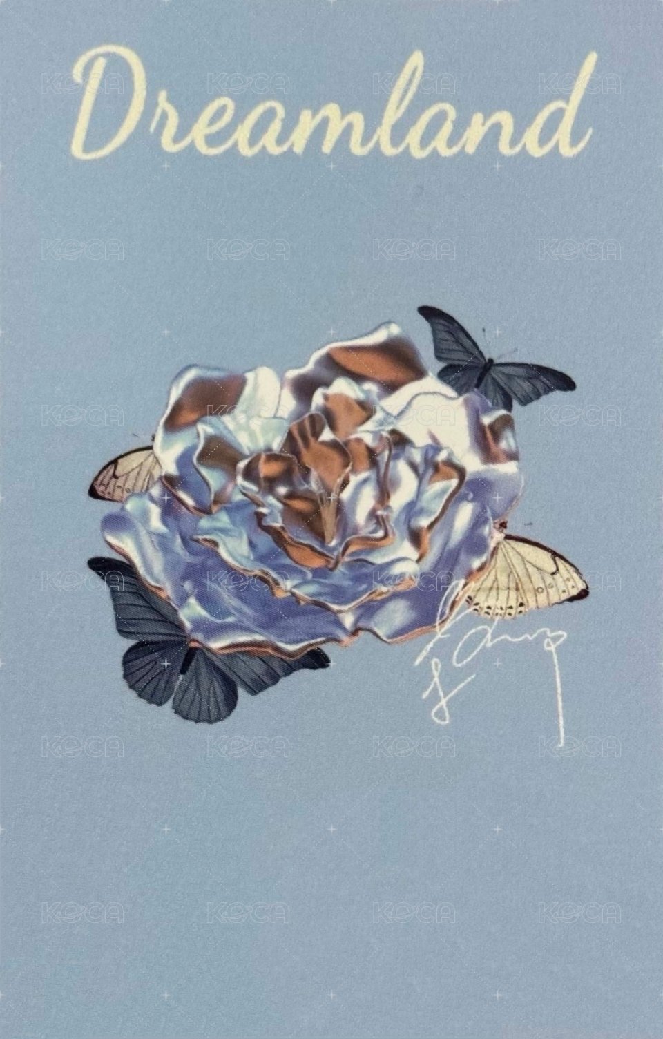 夢境 周邊卡 3夢境普卡 背面