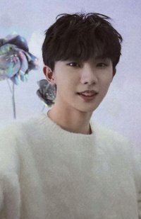 夢境 周邊卡 1夢境普卡