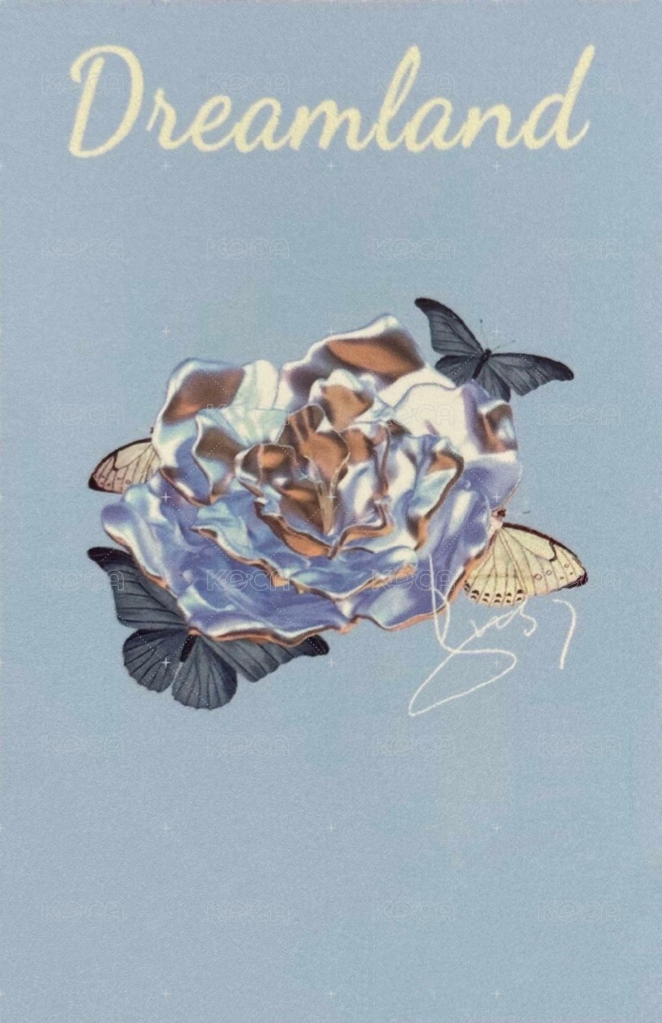 夢境 周邊卡 1夢境普卡 背面