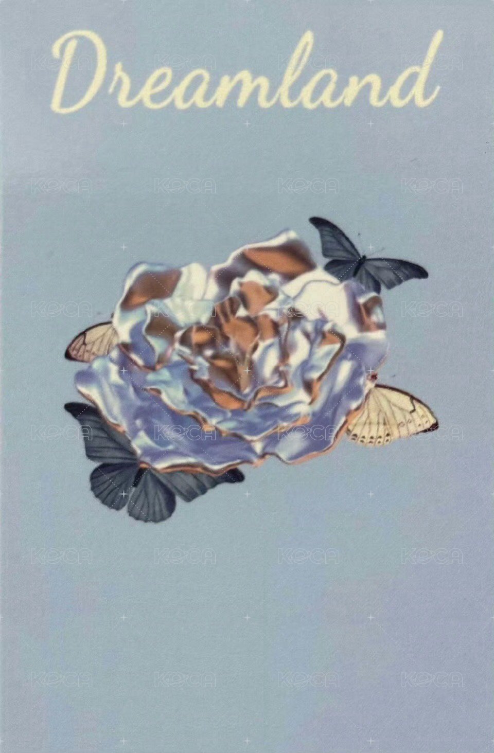 夢境 周邊卡 團夢境普卡 背面