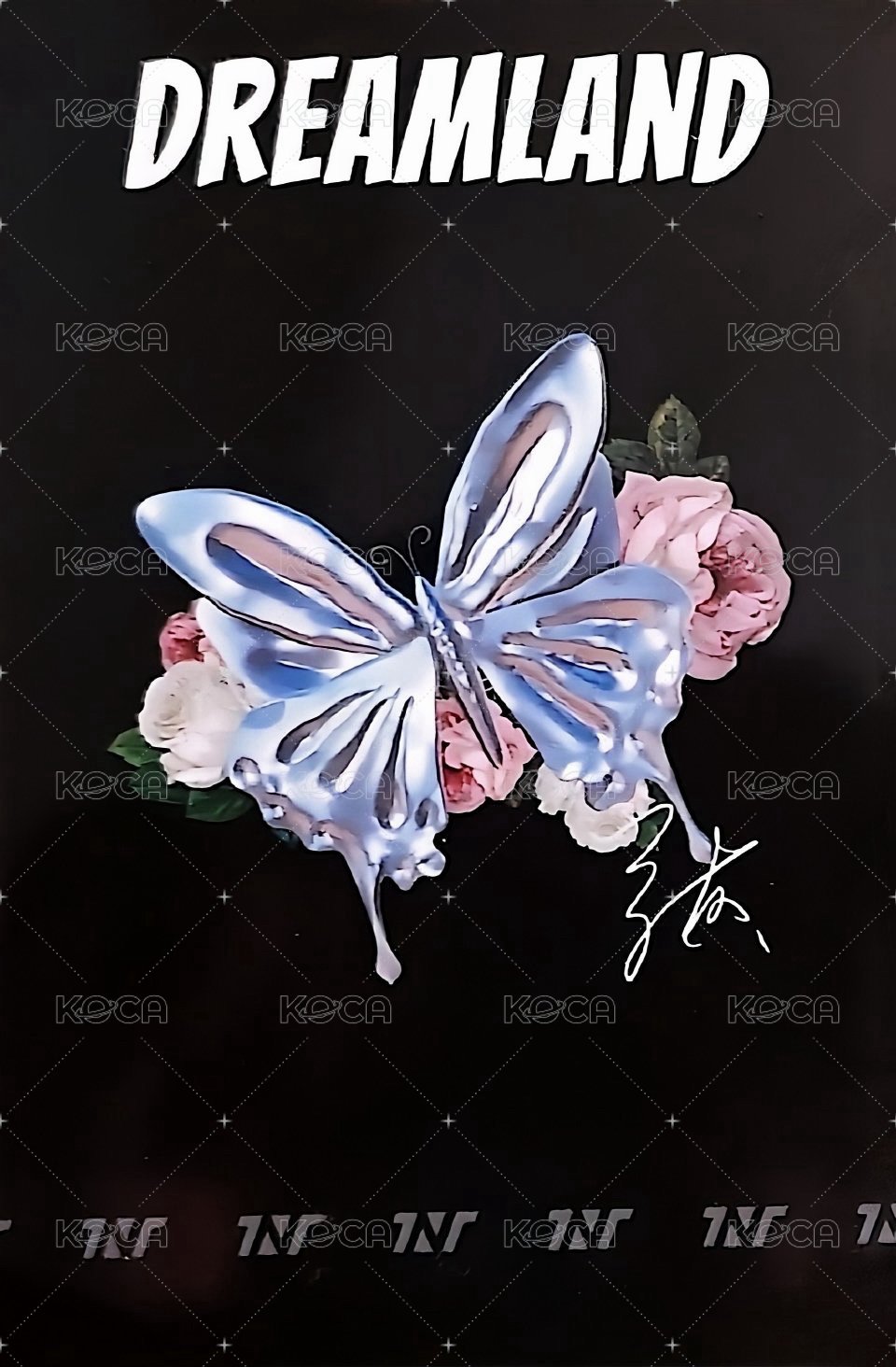 夢境 周邊卡 5夢境補償 背面