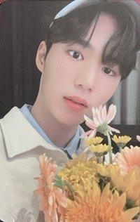 2023SG年曆 年曆卡 