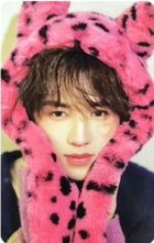 冬日記憶 周邊卡 3團固