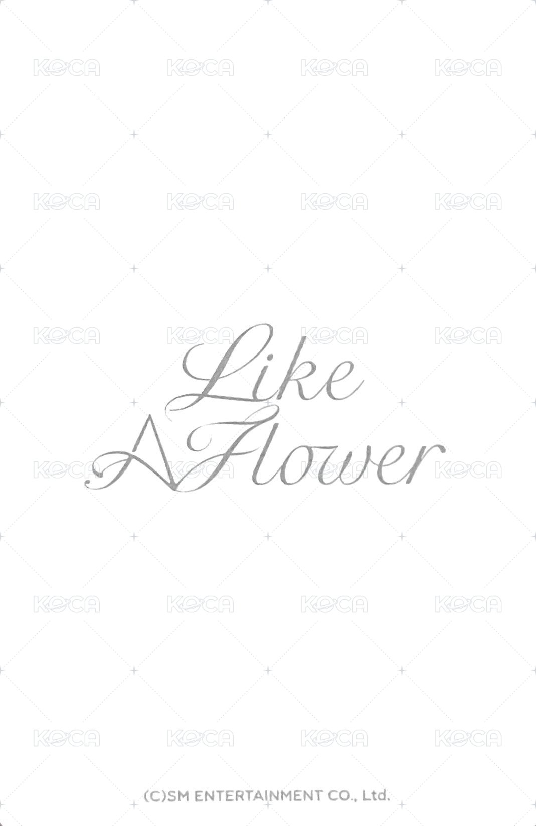 Like A Flower 周邊卡 娃娃姐 背面