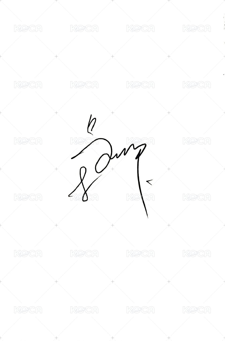 純白地 周邊卡 雪魚 背面