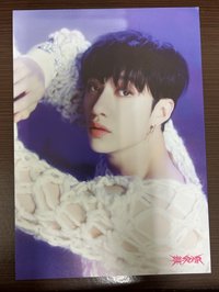 樂 燦個人海報（微損）