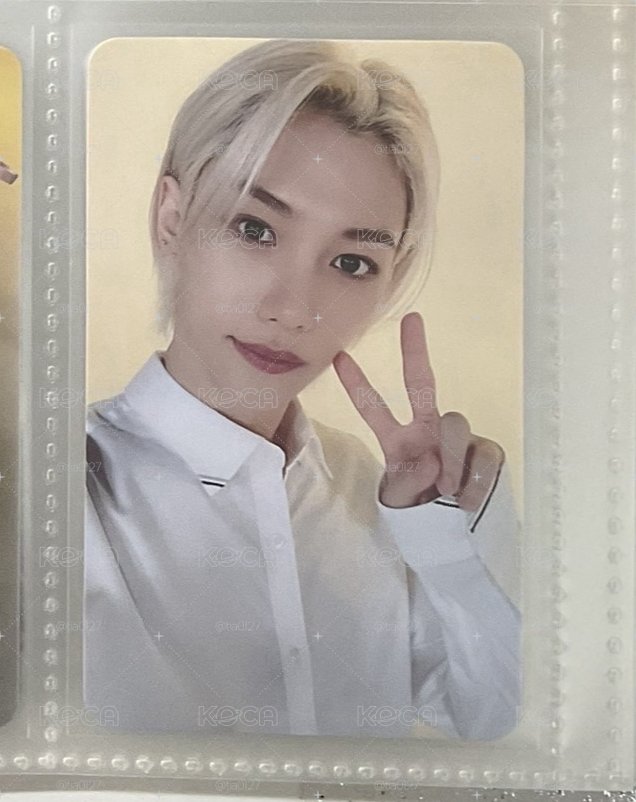 索尼菲