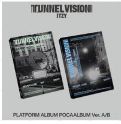 tnvs電子專一套（兩張）