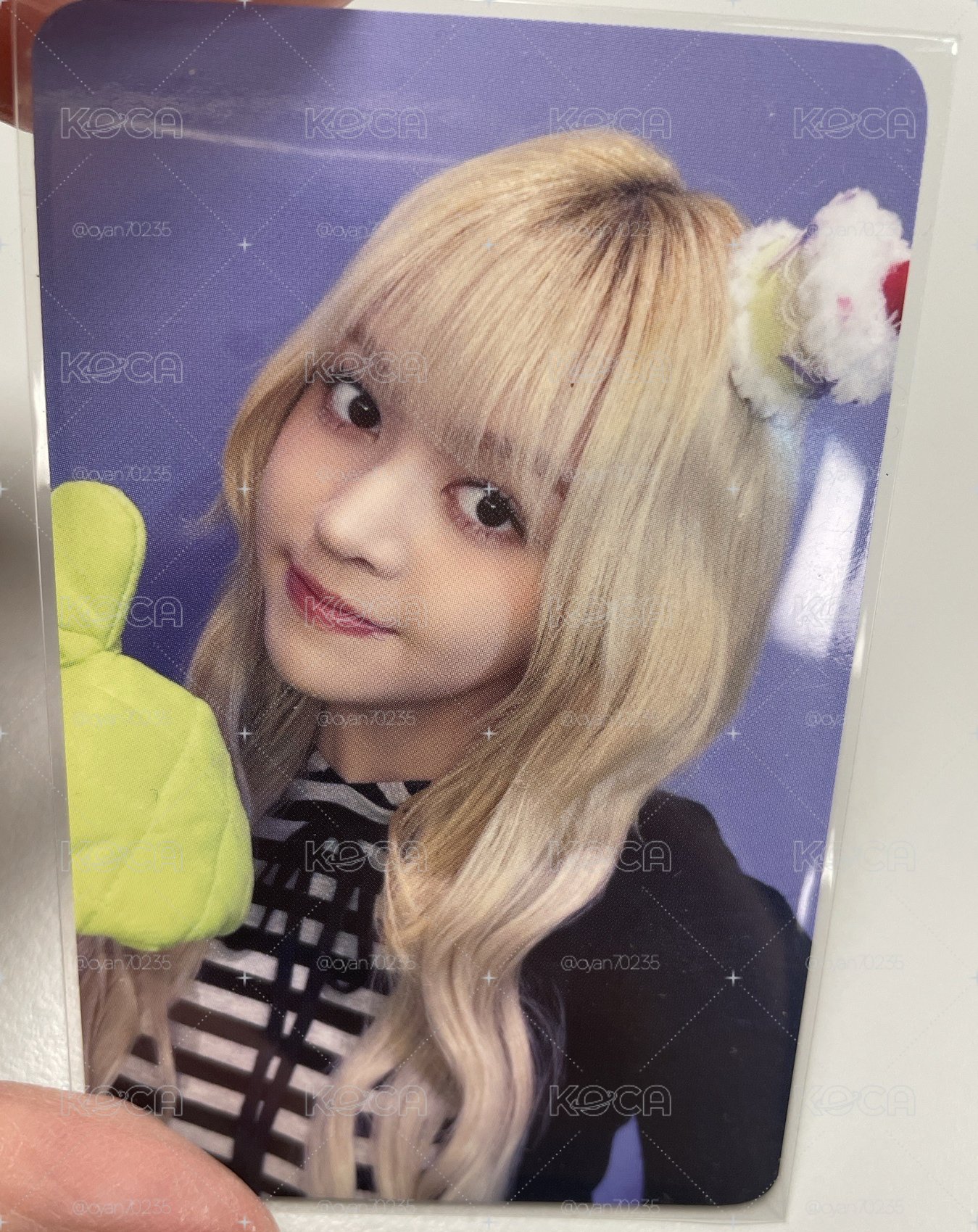 台北 蛋糕莉莉
