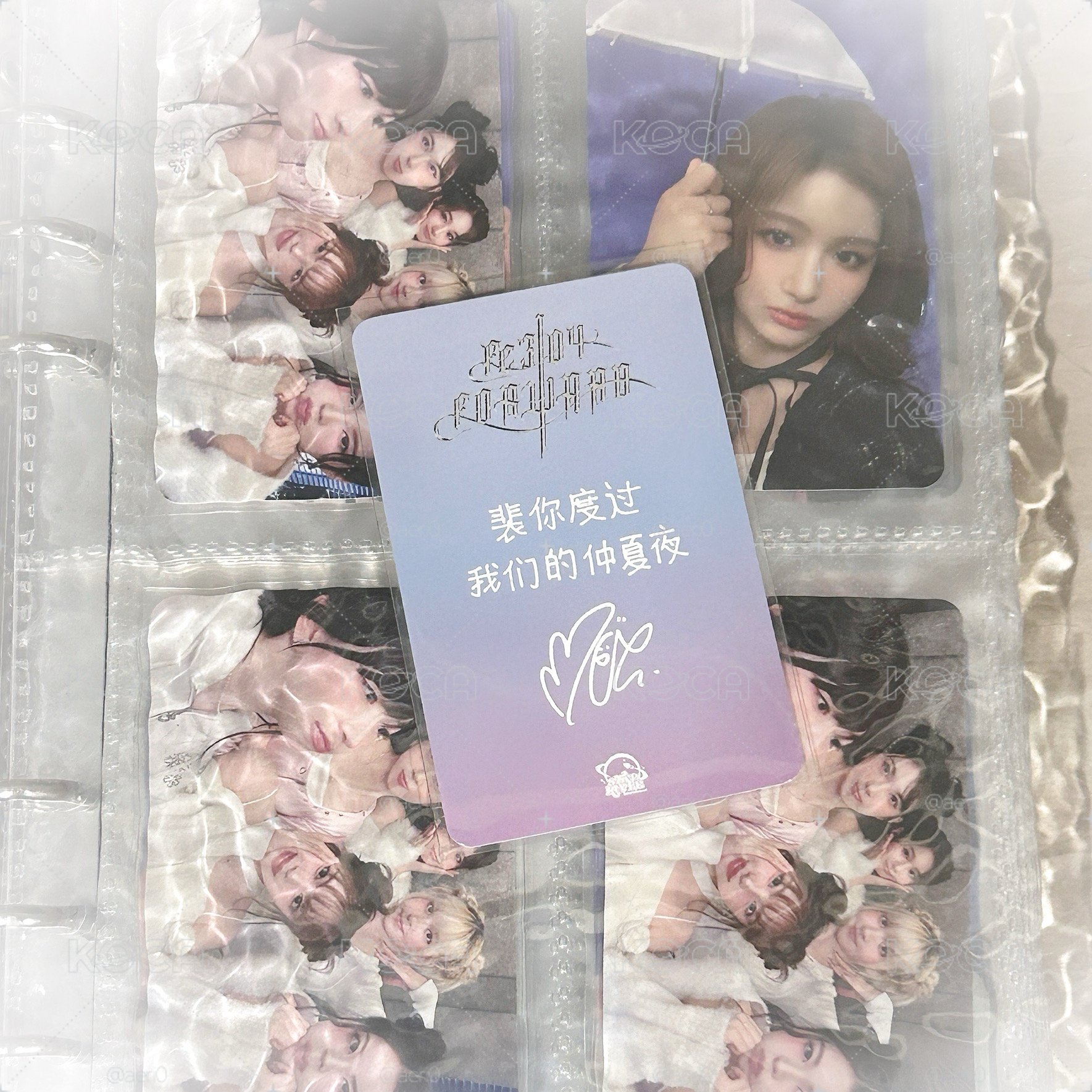 水寶寶裴