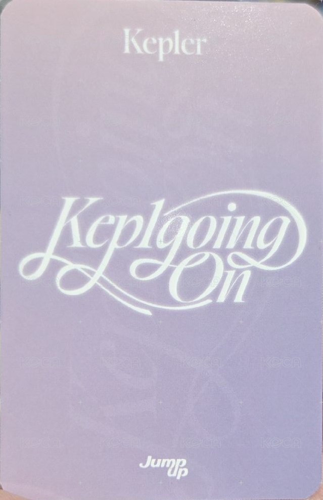 正規一 ju A 幸運卡 兔耳 背面