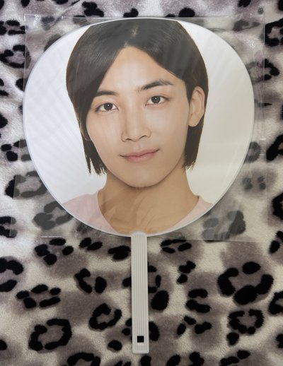 2016 SHINING DIAMOND 扇子 