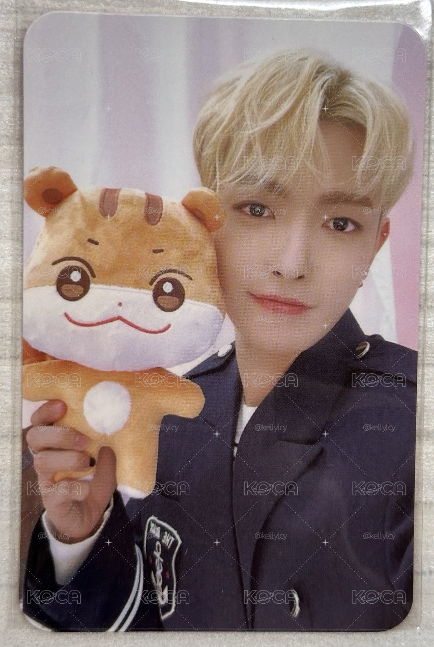 弘中 ANITEEZ IN ILLUSION 周邊卡 PLUSH DOLL