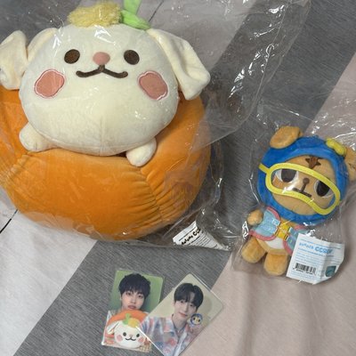 ccrew 夏日虎謨 秋日偷哩