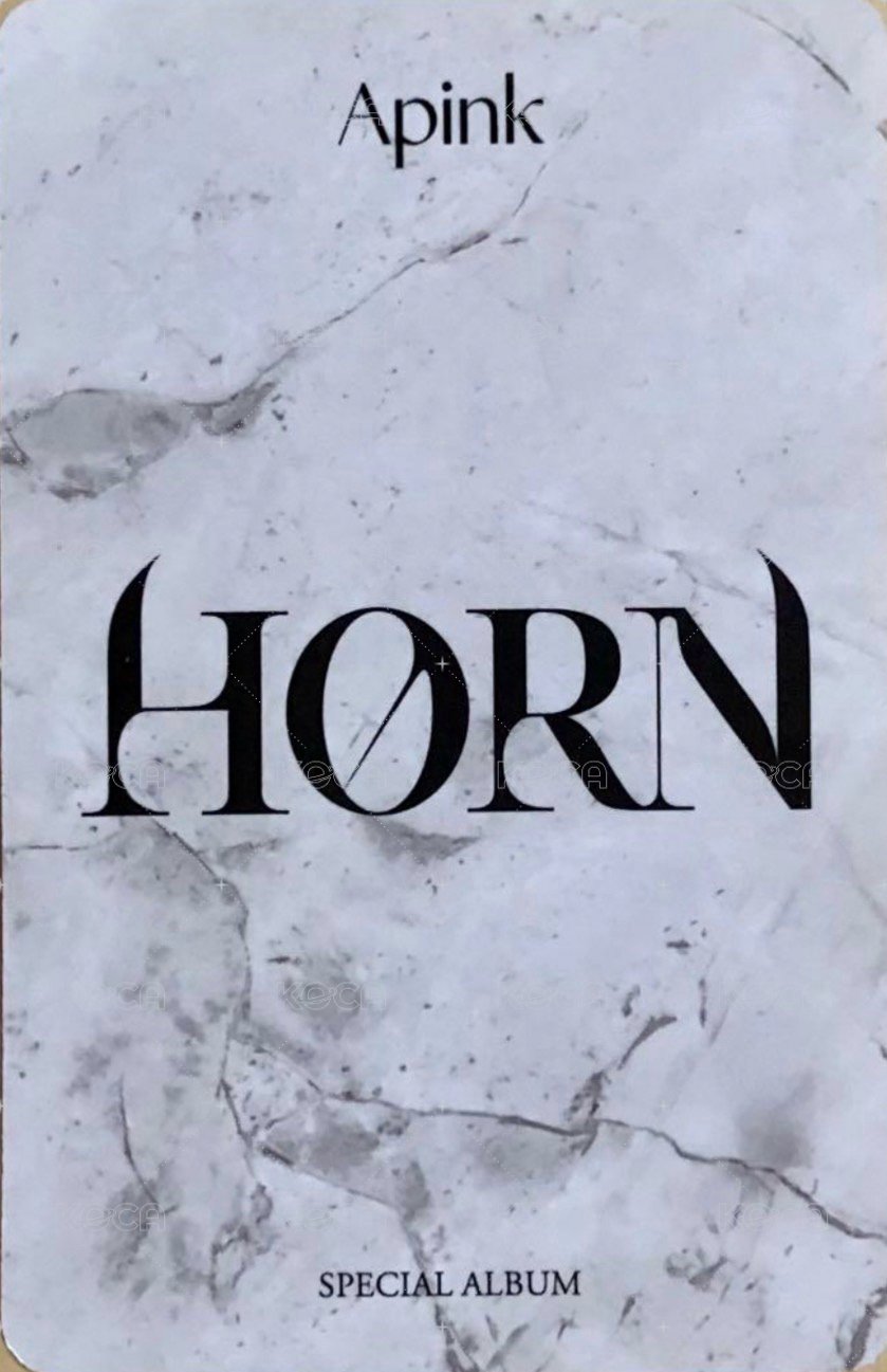 HORN 專輯卡  背面