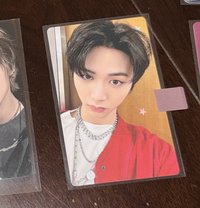 knock on日巡神奈川粽卡-泰山