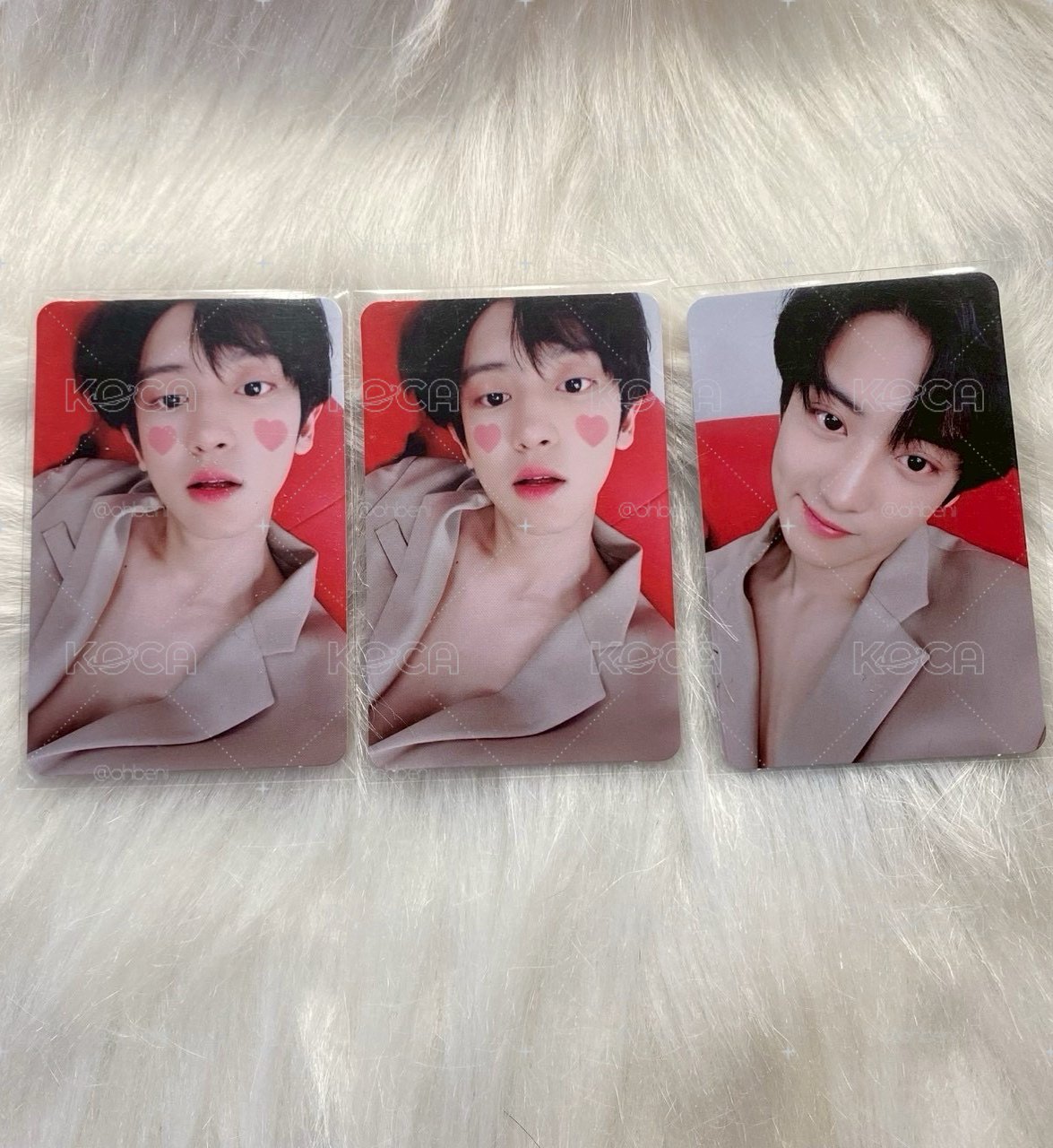 [集中] EXO 燦烈小卡
