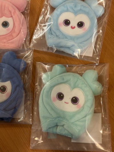 【過完年出貨】Twice 十週年FM 手燈套 BABY 手燈套