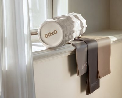 HAPPY DINO DAY [FITNESS SET]