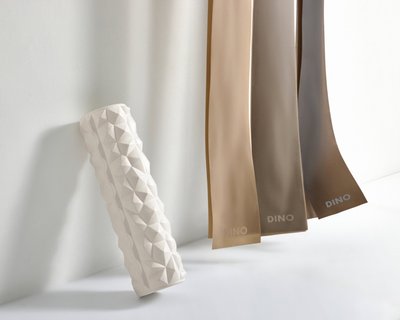 HAPPY DINO DAY [FITNESS SET]