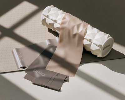 HAPPY DINO DAY [FITNESS SET]