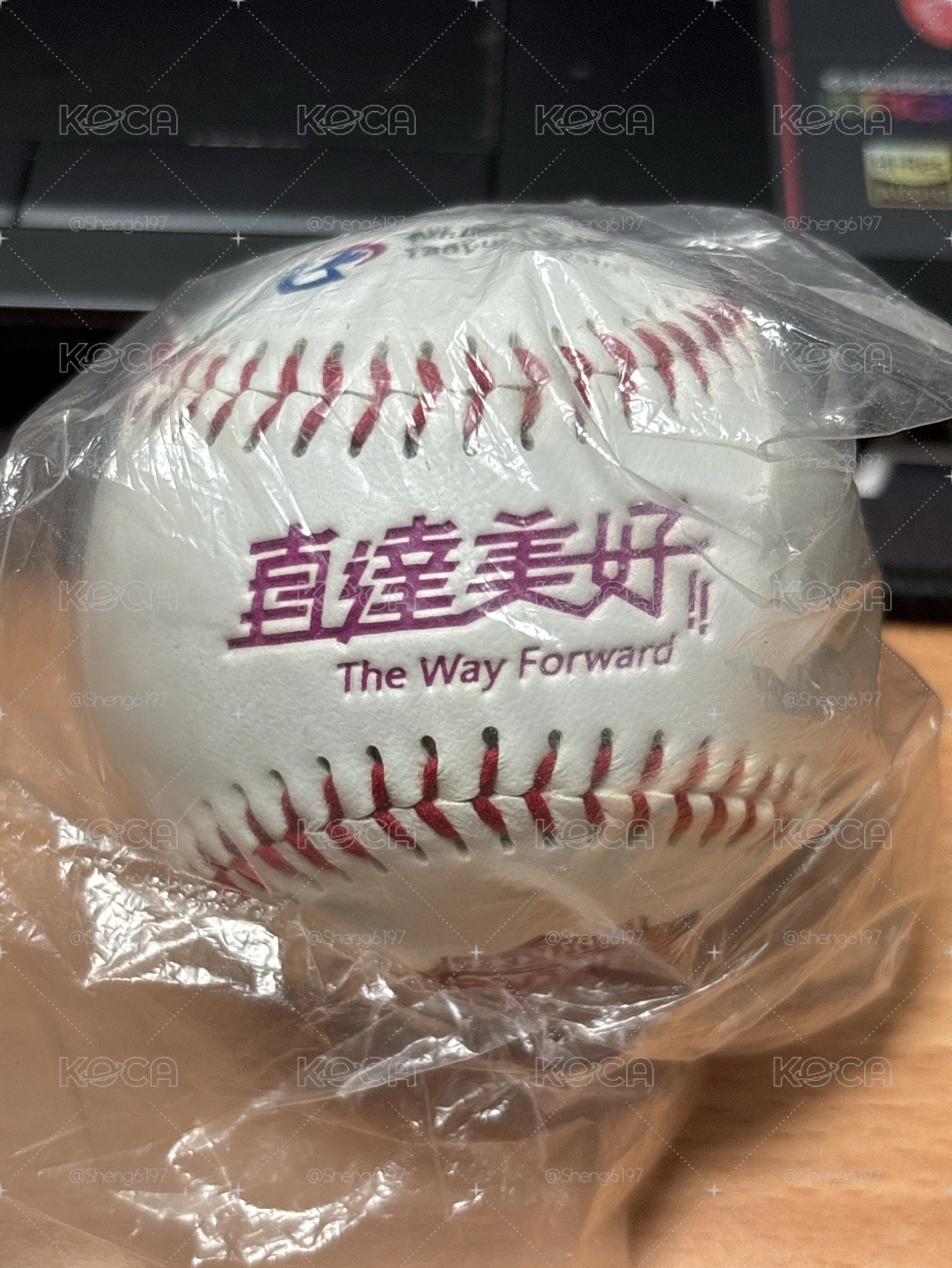 樂天桃猿x桃園捷運 聯名Logo球 直達車款式