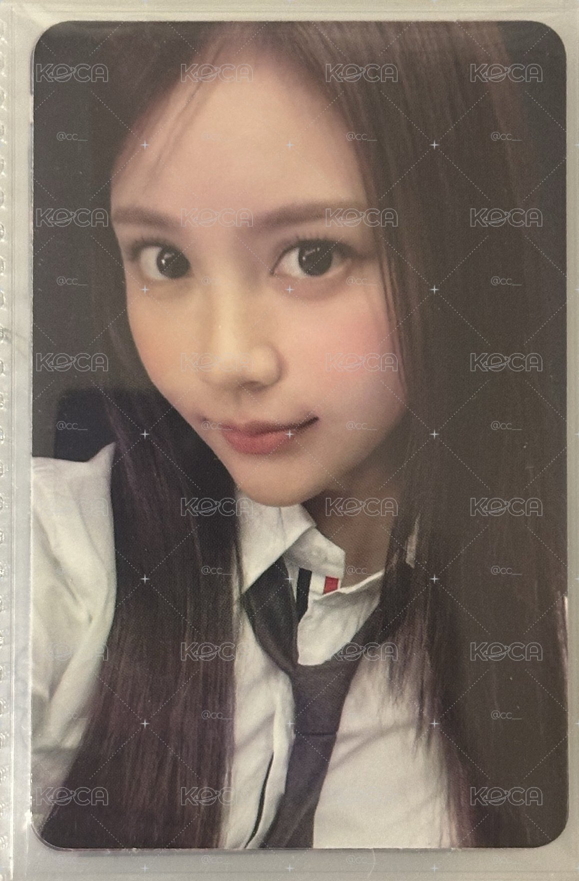 focus專卡