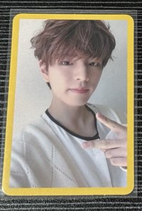 yellow wood專卡①