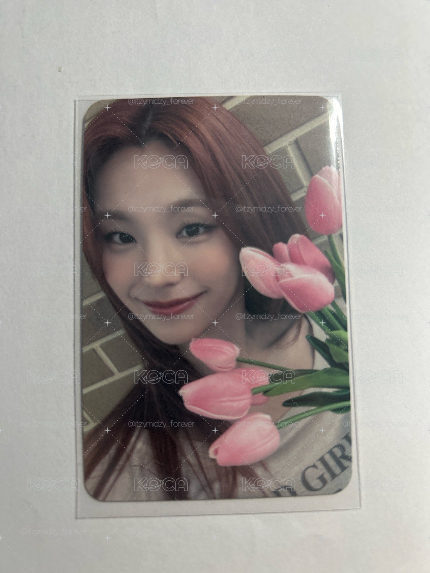 itzy 鬱金香志