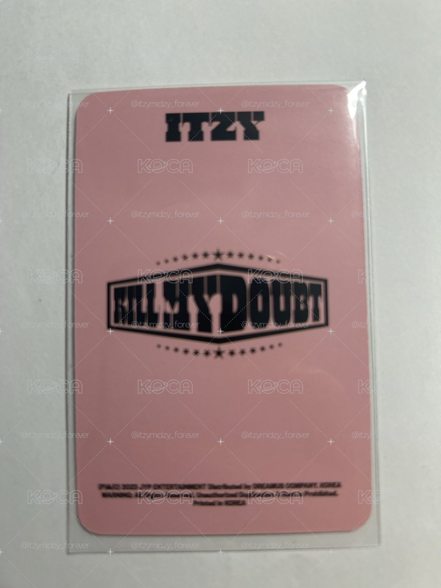 itzy 鬱金香志