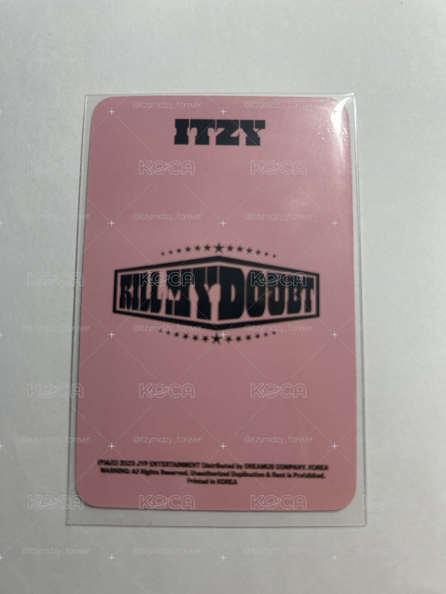 itzy 鬱金香領