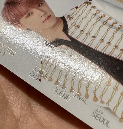 李燦DINO IDEAL CUT演唱會卡包卡