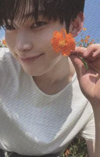 迷五 KMStore 特典卡 