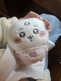 Mogi