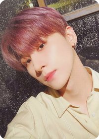 Fantasia v4 專輯卡 