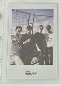 🪽🐯🐻‍❄️🐶