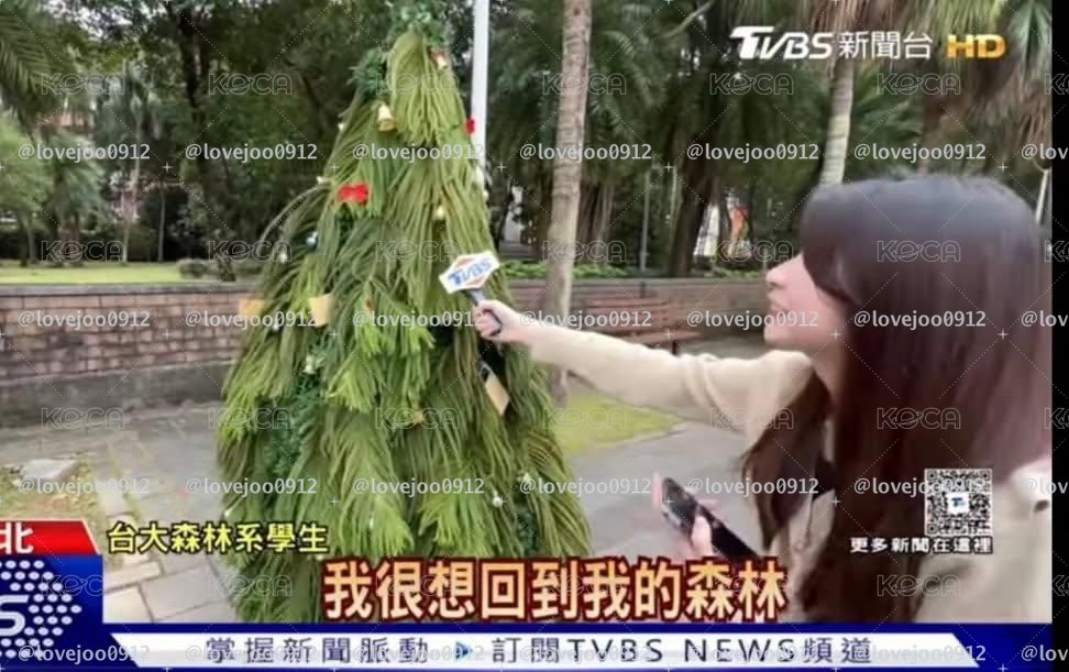 💝全員普卡福袋