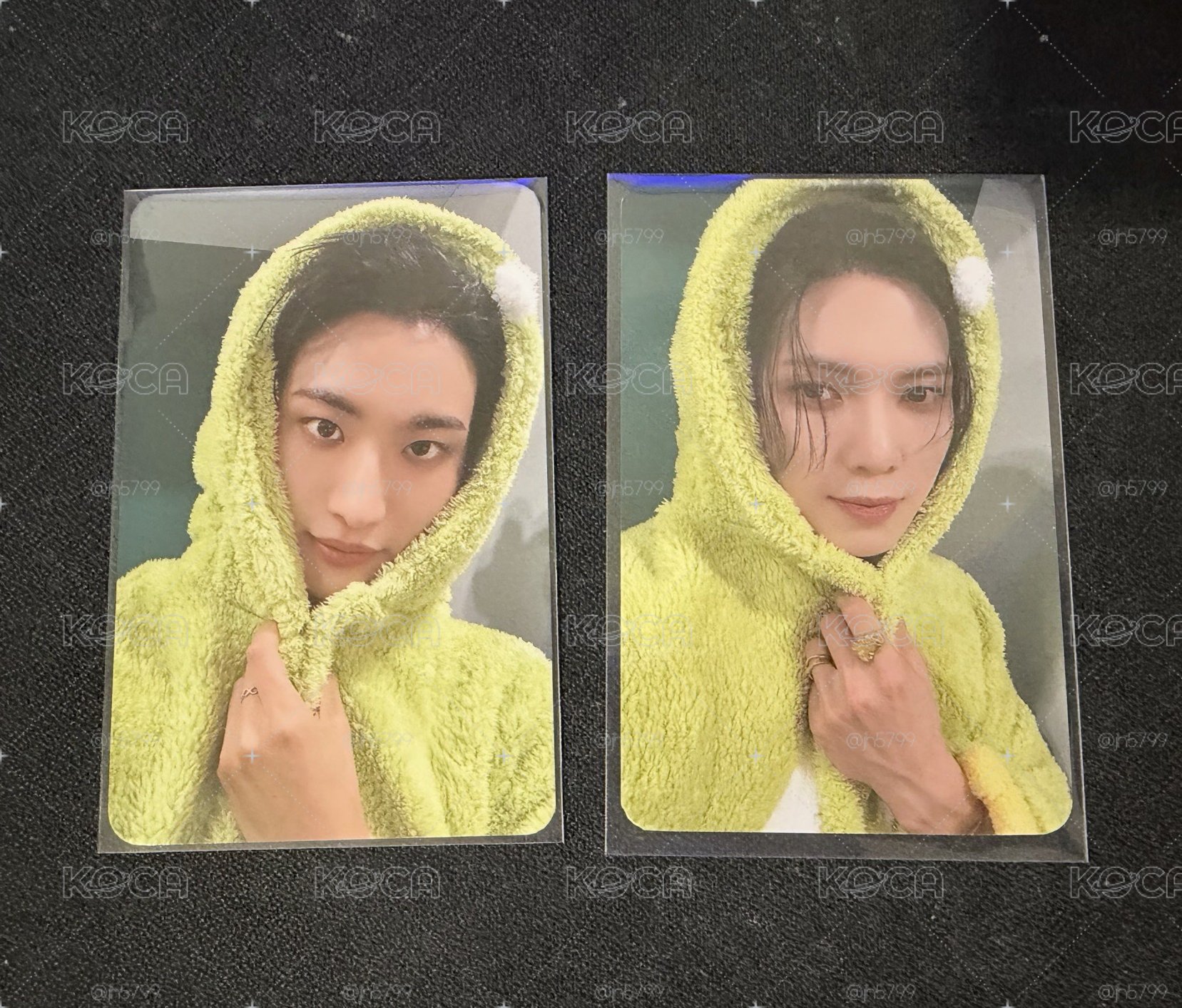 🌟MS恐龍特典
