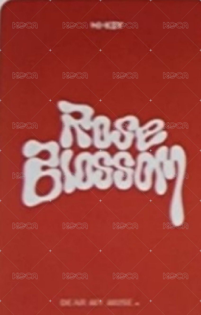 迷你一 dmm 簽售卡  背面