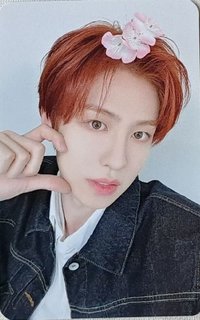 正規一輯 打歌卡 